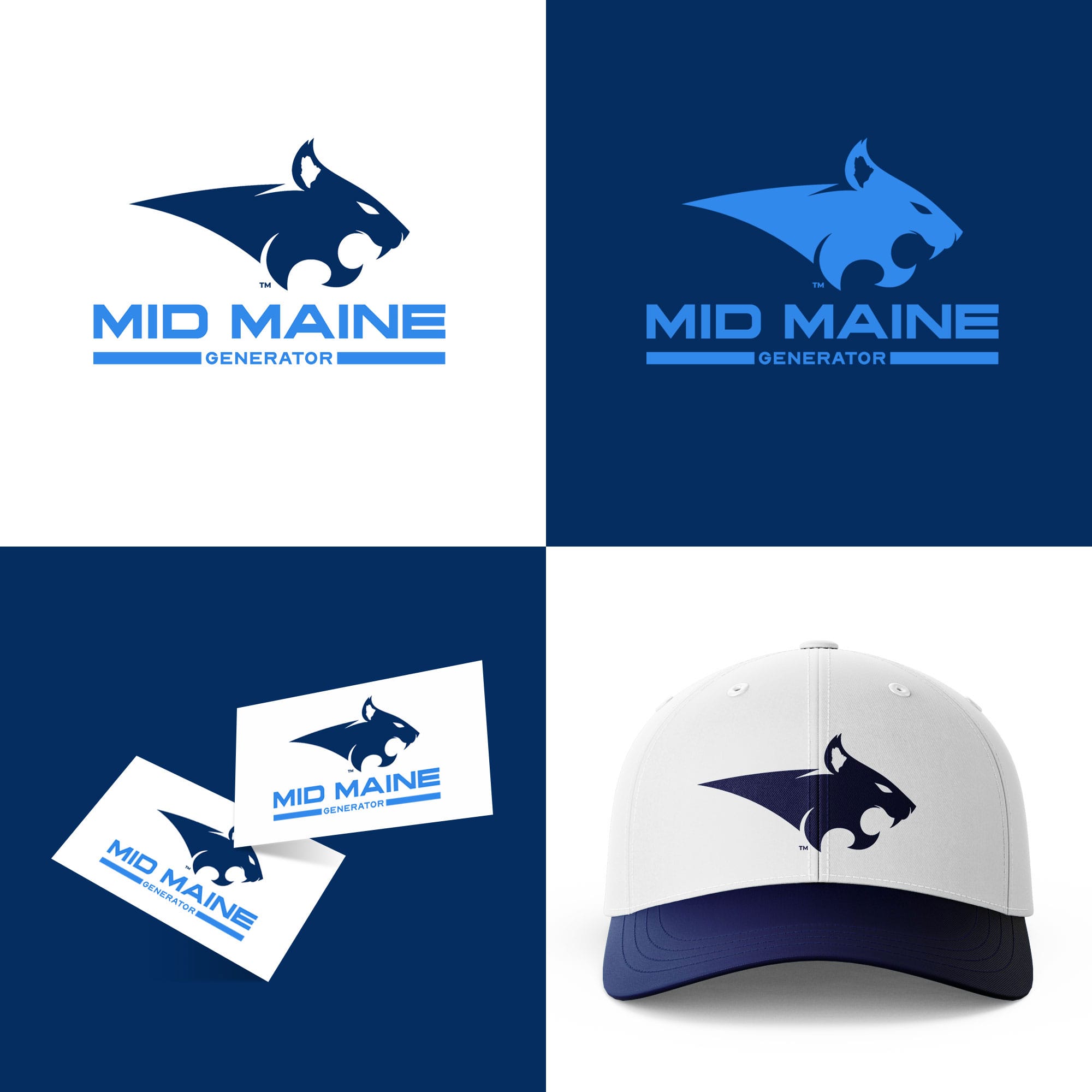 Mid-Maine-Generator-brand-example